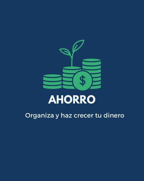 Ilustración de dinero con una planta creciente y signo de dólar, representando el ahorro y crecimiento del dinero